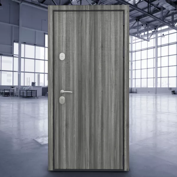 Входная дверь звукоизоляционная