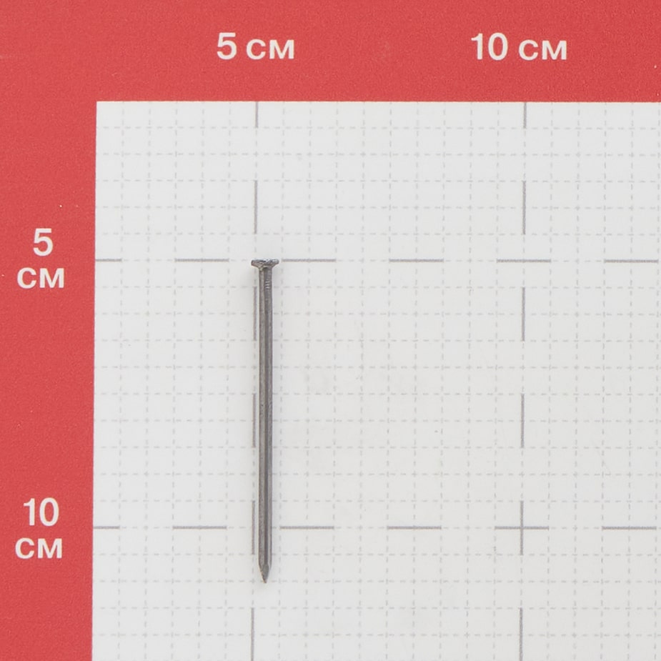 Гвозди строительные 2	5x60 мм (1 кг)