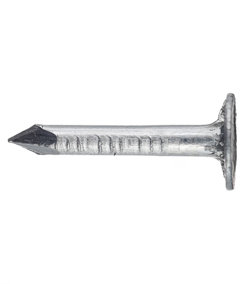 Гвозди толевые 3	0x20 мм оцинкованные (0	5 кг)