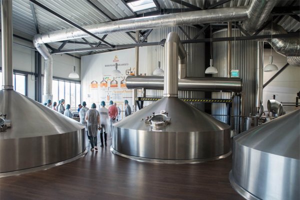 Сельскохозяйственная отрасль